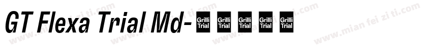 GT Flexa Trial Md字体转换